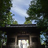 緑葉フォトウエディング写真No.032