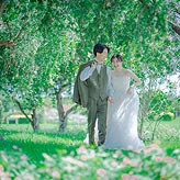 緑葉フォトウエディング写真No.034