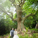 緑葉フォトウエディング写真No.036